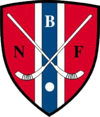 Kampdetaljer : Drammen - Sarpsborg